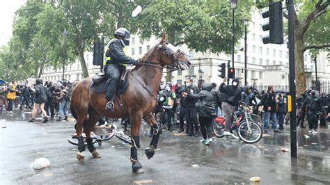 london horses incident